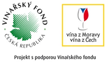 Projekt s podporou